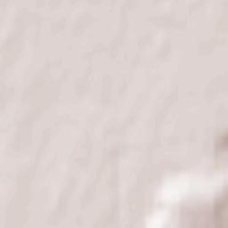 Krasnogorskiy Terrain Map