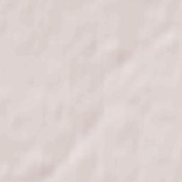 Yel’nya Terrain Map