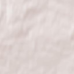 Ryazanskiy Rayon Terrain Map