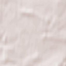 Powiat lęborski Terrain Map