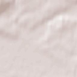 Nowa Wieś Lęborska Terrain Map