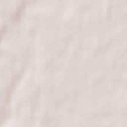 Marijampolė Municipality Terrain Map