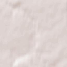 Dubrowna Terrain Map