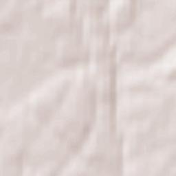 Mstikhino Terrain Map