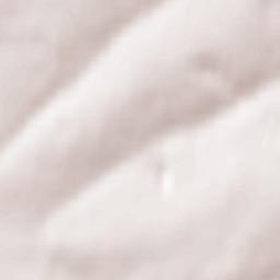 Staropesterevo Terrain Map