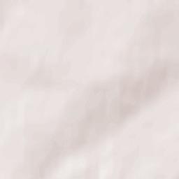 Zeyskiy Rayon Terrain Map