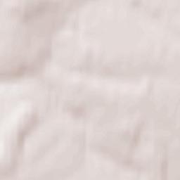 Yasnogorsk Terrain Map