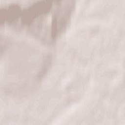 Surskoye Terrain Map