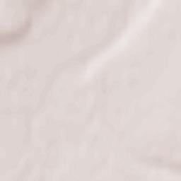 Zverinogolovskoye Terrain Map