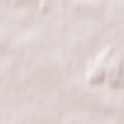 Neudorf-Bornstein Terrain Map