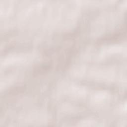 Plyeshchanitsy Terrain Map