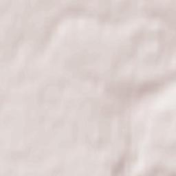 Ozerskiy Rayon Terrain Map