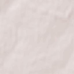 Zakharovskiy Rayon Terrain Map