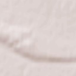 Spassk-Ryazanskiy Terrain Map