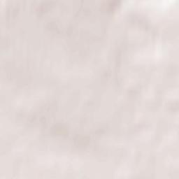 Perfilovo Terrain Map