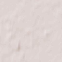 Braniewo Terrain Map