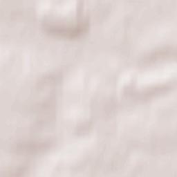 Monastyrshchina Terrain Map