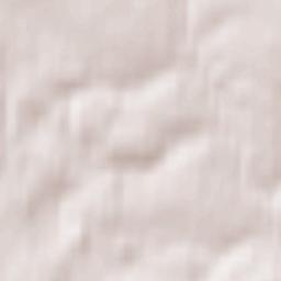 Revyakino Terrain Map