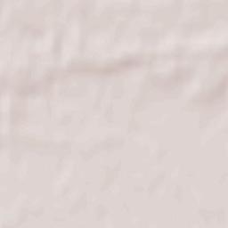 Sztutowo Terrain Map