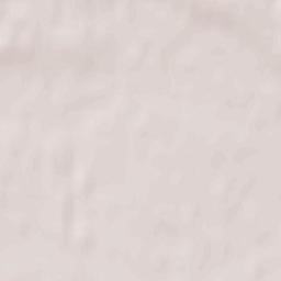 Maladzyechna Terrain Map