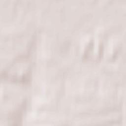 Nasilava Terrain Map