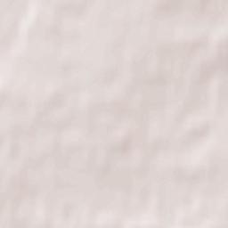 Powiat braniewski Terrain Map