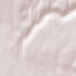 Pickering Terrain Map