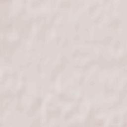 Pruszcz Gdański Terrain Map