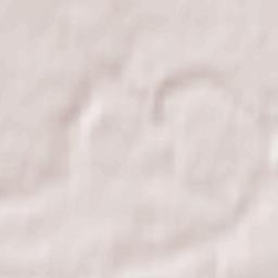 Bartoszyce Terrain Map