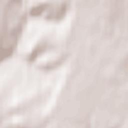 Bavlinskiy Rayon Terrain Map