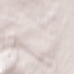 Newcastle Terrain Map