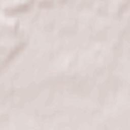 Steinhagen Terrain Map