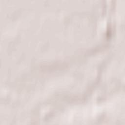 Brandshagen Terrain Map