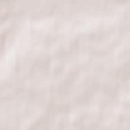 Pieniężno Terrain Map