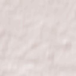 Lazdijai Terrain Map