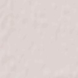 Nowy Dwór Gdański Terrain Map