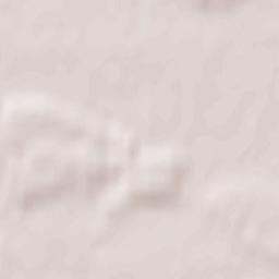 Wittenhagen Terrain Map