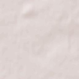 Eišiškės Terrain Map