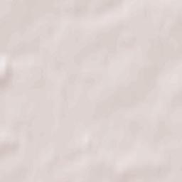 Stodolishche Terrain Map