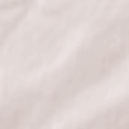 Bol’shebereznikovskiy Rayon Terrain Map