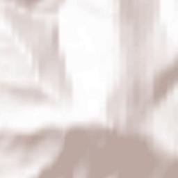 Koshurnikovo Terrain Map