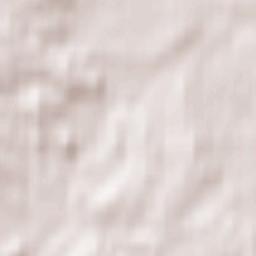 Radashkovichy Terrain Map