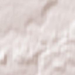 Lidzbark Warmiński Terrain Map