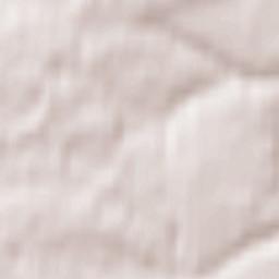 Chekalin Terrain Map