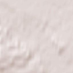 Bartenshagen-Parkentin Terrain Map