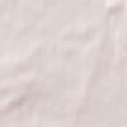 Broderstorf Terrain Map