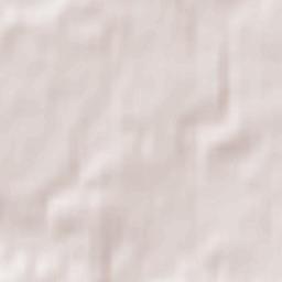 Skarszewy Terrain Map