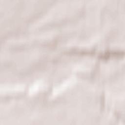 Pasłęk Terrain Map