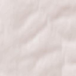 Bolokhovo Terrain Map