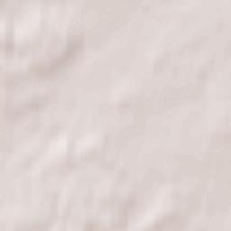 Zubova Polyana Terrain Map